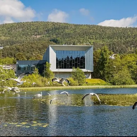 Lejlighed Penthouse With Sauna, Balcony And Free Coffe Bergen